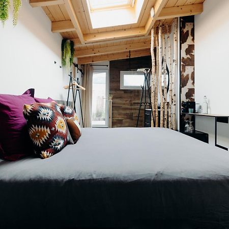 La Villa D'Helene 2 - Chambres D'Hotes Bnb Et Appartements - Cluses Exteriör bild